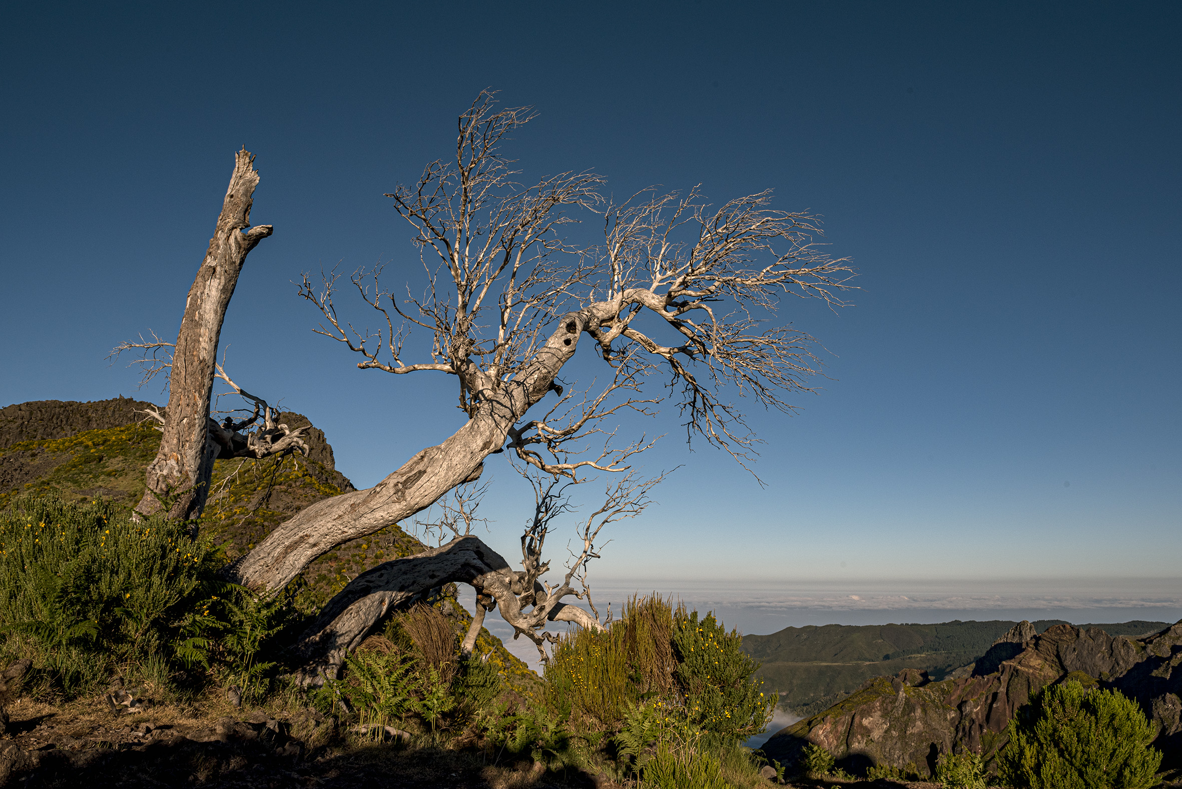Pico Ruivo, Madeira